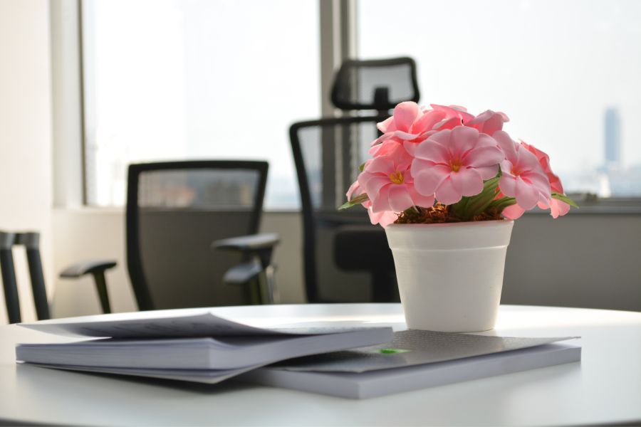 Kwiaty w biurze